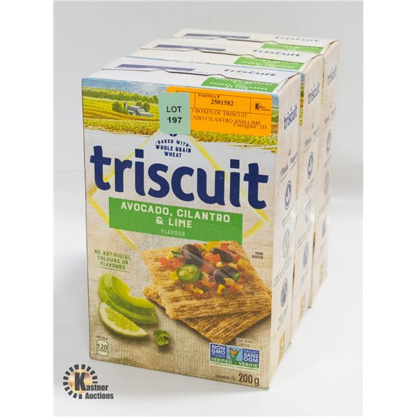 NEW 3 BOXES OF TRISCUIT AVOCADO CILANTRO AND LIME