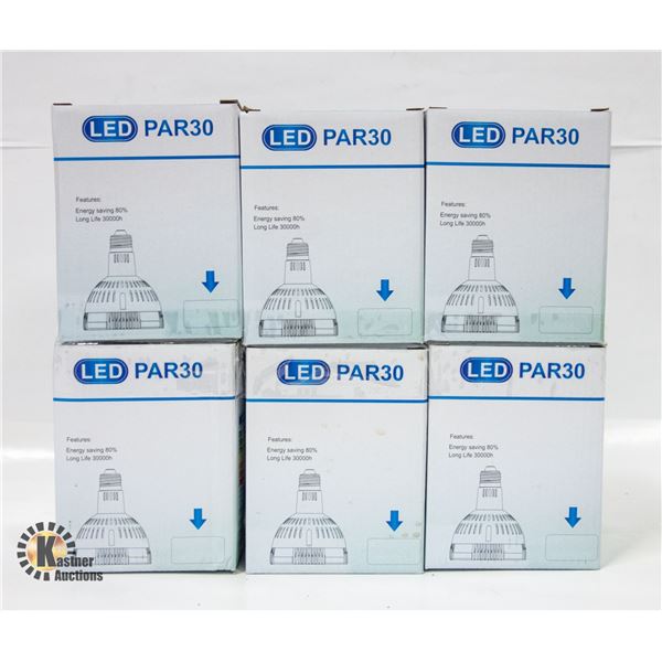 6 LED PAR 30 LIGHT BULBS