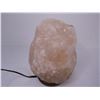 Image 2 : Salt Lamp Works