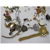 Image 2 : Assorted Pieces of Costume Jewelry