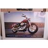 Image 2 : (3)Matching Double Sided Harley Davidson Posters w/ Poster Bag