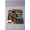 Image 3 : Box of Assorted Post Cards and Vintage Post Card Album