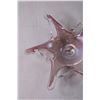 Image 2 : Starfish Glass Decorative Bowl Art