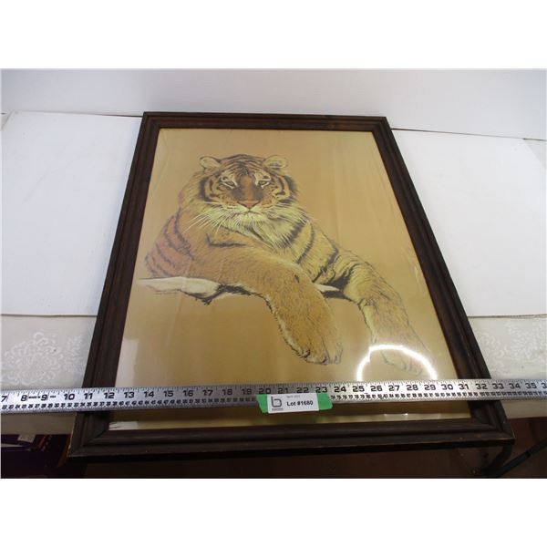 Large Framed Tiger Print By Hans Luetcke (19x27.5)