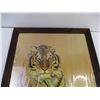 Image 2 : Large Framed Tiger Print By Hans Luetcke (19x27.5)
