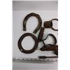 Image 2 : Lot of Antique Horse Items