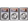 Image 1 : Set of (3) 2019 (G/S/Y) China 10 Yuan Silver Panda Coins NGC MS70