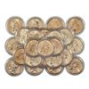 Image 1 : Lot of (25) Mixed Date $1 Sacagawea Dollar Coins
