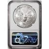 Image 2 : 2021(P) Type 1 $1 American Silver Eagle Coin NGC MS70 First Day Issue Philadelphia