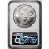 Image 2 : 2021(P) Type 1 $1 American Silver Eagle Coin NGC MS70 Early Releases Philadelphia