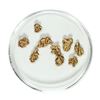 Image 1 : Gold Nuggets 2.70 Grams Total Weight