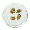 Image 1 : Lot of Gold Nuggets 3.2 grams Total Weight