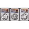Set of (3) 2019 (G/S/Y) China 10 Yuan Silver Panda Coins NGC MS70