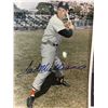 Image 2 : Ted Williams Autographed Photo