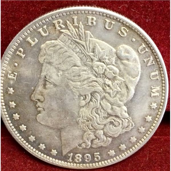 Rare 1895 Silver Dollar