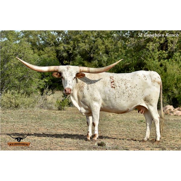 SEL SKYLER TUFF BEAUTY