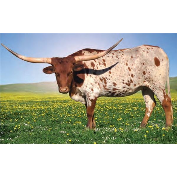 Crawdaddy's Etouffee