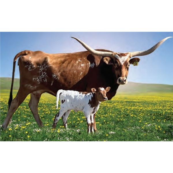 BAR-MAMA'S MYBABYMYBABY