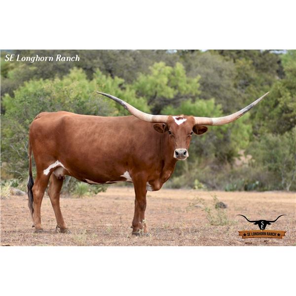 SE APRIL ICON BEAUTY