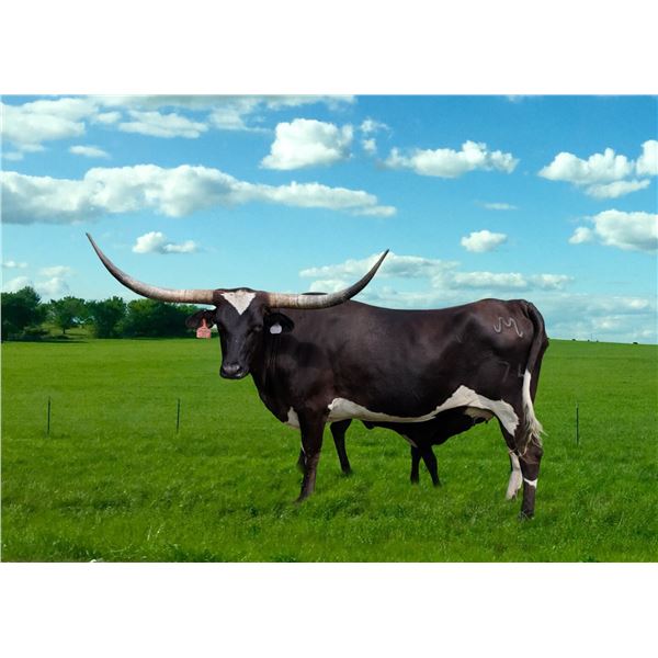 RML Smokin Hot Safari