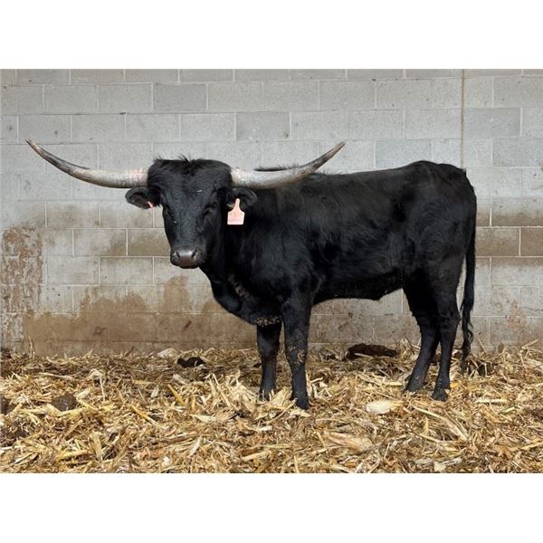 SUB LOT - RVR KNOTTY PINE