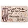 Image 1 : Central New York & Western Railroad Company Annual Pass [154777]
