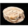 Image 1 : Egyptian Carved Steatite [157550]