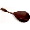 Image 2 : Flat-top Mandolin Unmarked Maker [161262]