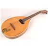 Image 1 : Large Frame Mandolin [161263]