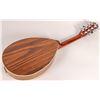 Image 2 : Large Frame Mandolin [161263]
