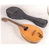 Image 3 : Large Frame Mandolin [161263]