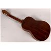 Image 8 : Asheville, Dauphin, Juan Bustelo and other Acoustic Guitars, 4 [161504]