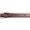 Image 8 : J.P. Sauer U. Sohn Side by Side Percussion Shotgun 20 gauge [160029]