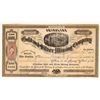 Image 1 : Crinoline Gold and Silver Mining Stock [161408]