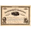 Image 1 : Lower Belt Gold & Silver Mining, Milling Reduction & Tunneling Company Stock [160615]