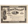 Image 1 : Duquesne Mining Company Stock [161424]