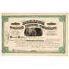 Image 1 : Decatur Silver Mining Company Stock [161421]