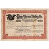 Image 1 : King and Queen Mining Company Stock [161399]