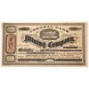 Image 1 : Central Park Mining Company Stock [163621]
