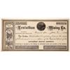 Image 1 : Leviathan Mining Company Stock [163669]