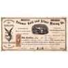 Image 1 : Potomac Gold & Silver Mining Company Stock, NV Territorial [163659]