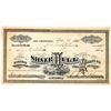 Image 1 : Silver Hill Mining Company Stock [163681]