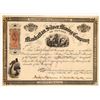 Image 1 : Manhattan Silver Mining Company Stock [160620]