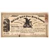 Image 1 : Bald Eagle Gold & Silver Mining Company Stock, NV Territorial [163645]