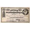 Image 1 : Julia Consolidated Mining Company Stock [163592]