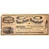 Image 1 : Mattie Gold and Silver Mining Company Stock [163631]