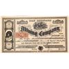 Image 1 : San Bernard Mining Company Stock, NV Territorial [163627]