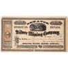 Image 1 : Senator Silver Mining Company Stock [163595]