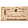 Image 1 : Stewart Gold & Silver Mining Company Stock, NV Territorial [163620]