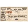 Image 1 : York Gold & Silver Mining Company Stock [163635]